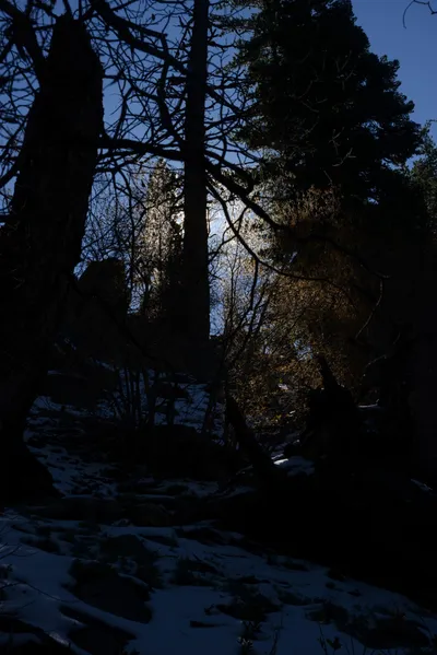 DSC_5075 (Large).JPG